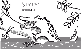 Toshi's Croco Drawing