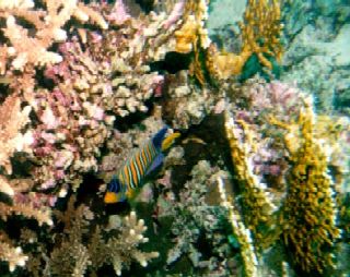 One of our underwater pics