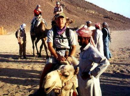 How many camels can you count ?