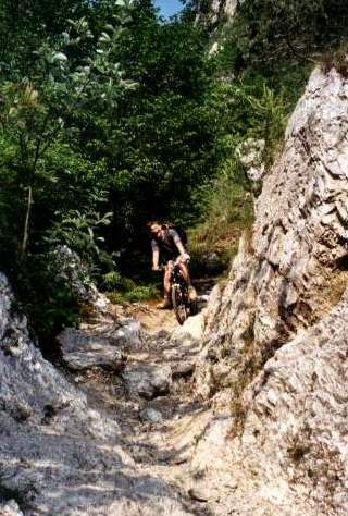 Crazy Mountainbike Downhill