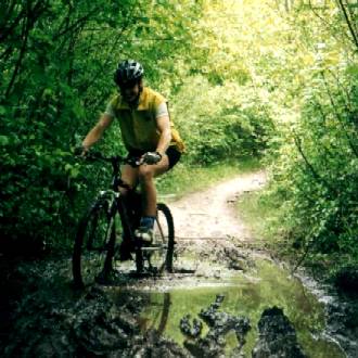 So many mudpools so little time